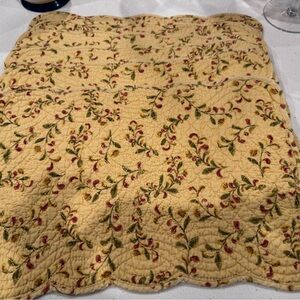 Reversible Floral Quilted Placemats Set of 6